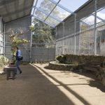 Aviary