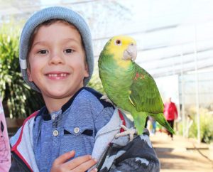 Maleny Bird World