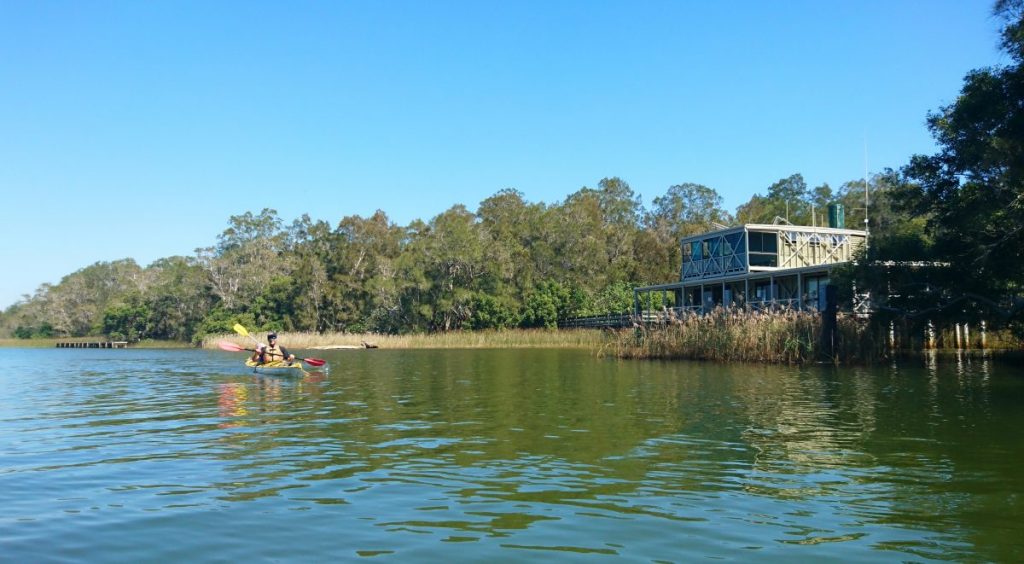 Kayaking past Kinaba in the Noosa Everglades.