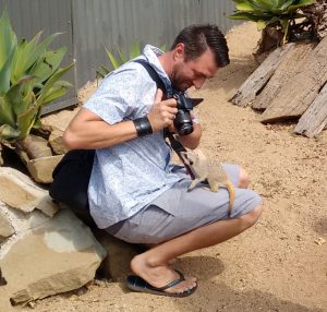 Up close with the Meerkats