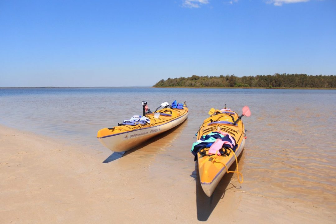 Kayaking in the Noosa Everglades.
