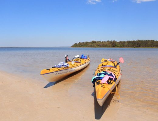 Kayaking in the Noosa Everglades.