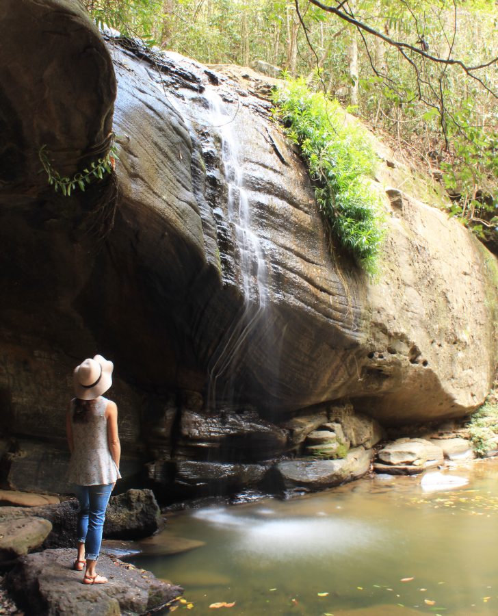 SUNSHINE COAST WATERFALLS: Buderim Falls