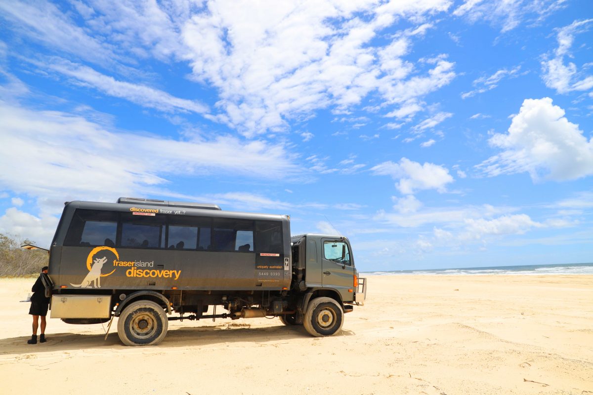 Fraser Island: Day tour with The Discover Group
