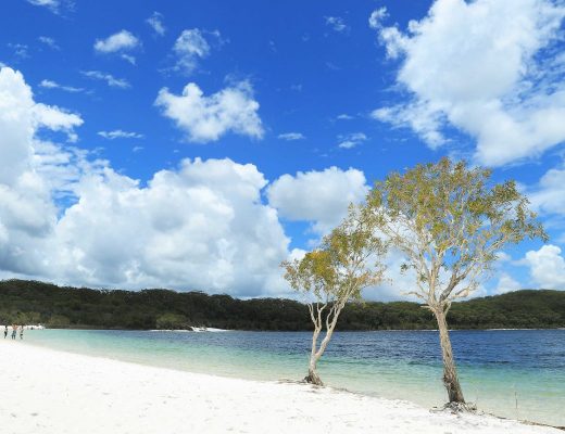 Fraser Island: Lake McKenzie