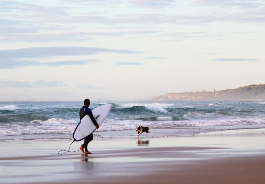 Dog Beaches on the Sunshine Coast