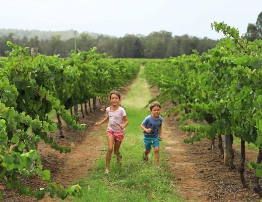 Fun in the vines in the Hunter Valley