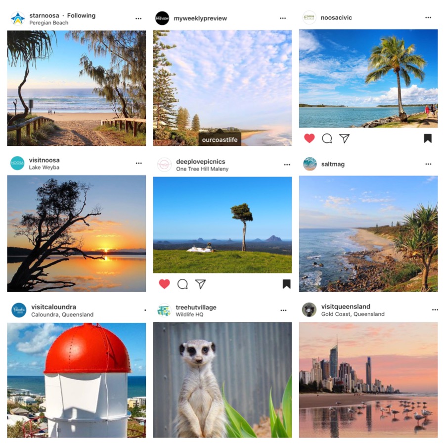 Some of Our Coast Life's images that have been regrammed.