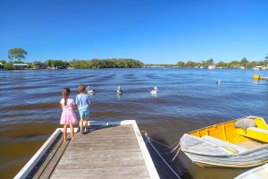 Watching the pelicans on Noosa River