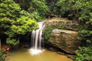 Buderim Falls, aka Serenity Falls.