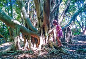 Exploring the gardens at The Ginger Factory