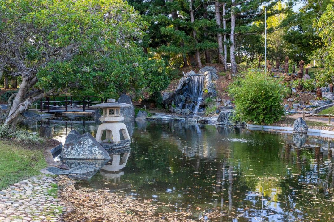 Explore the Rockhampton Botanic Gardens and Zoo Our Coast Life