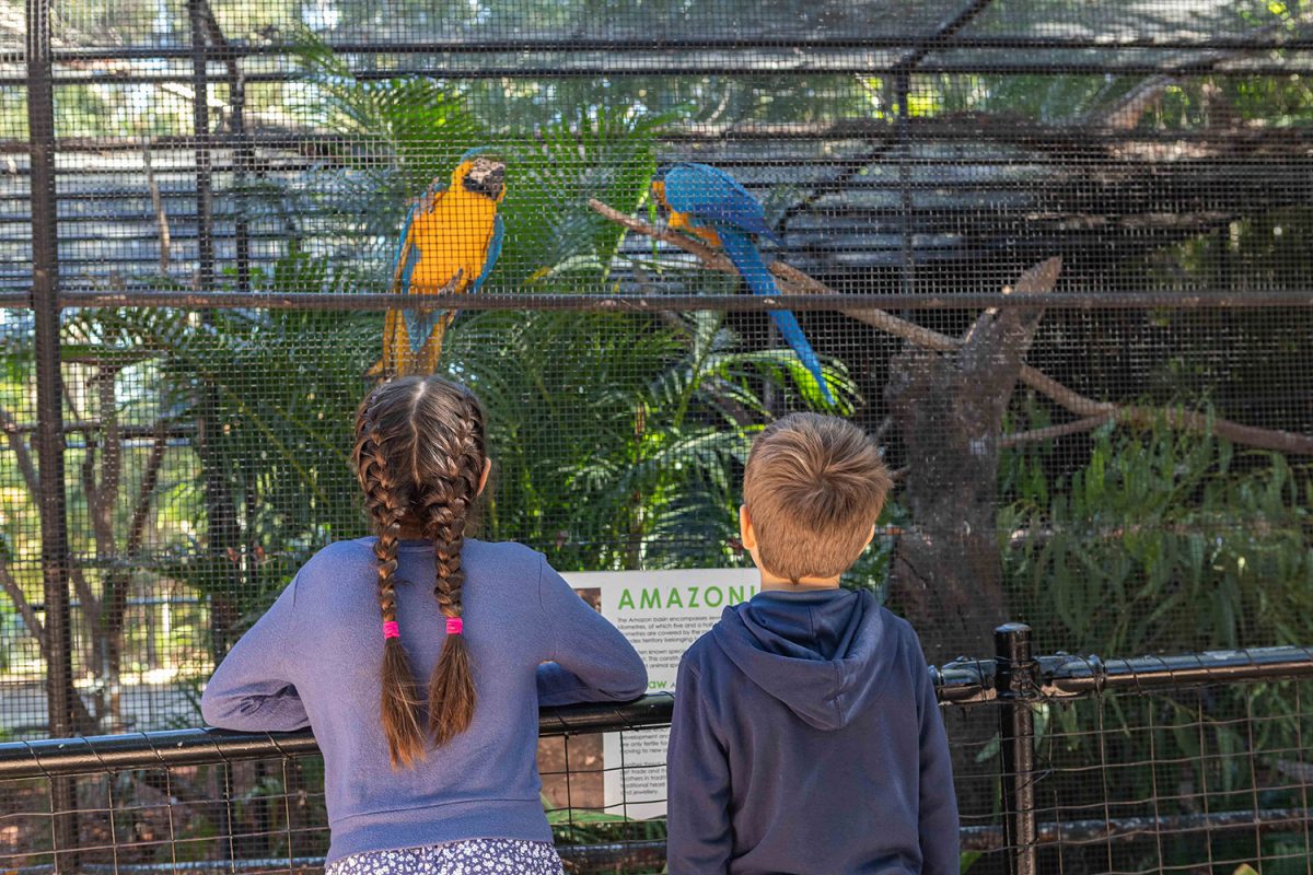Explore the Rockhampton Botanic Gardens and Zoo Our Coast Life