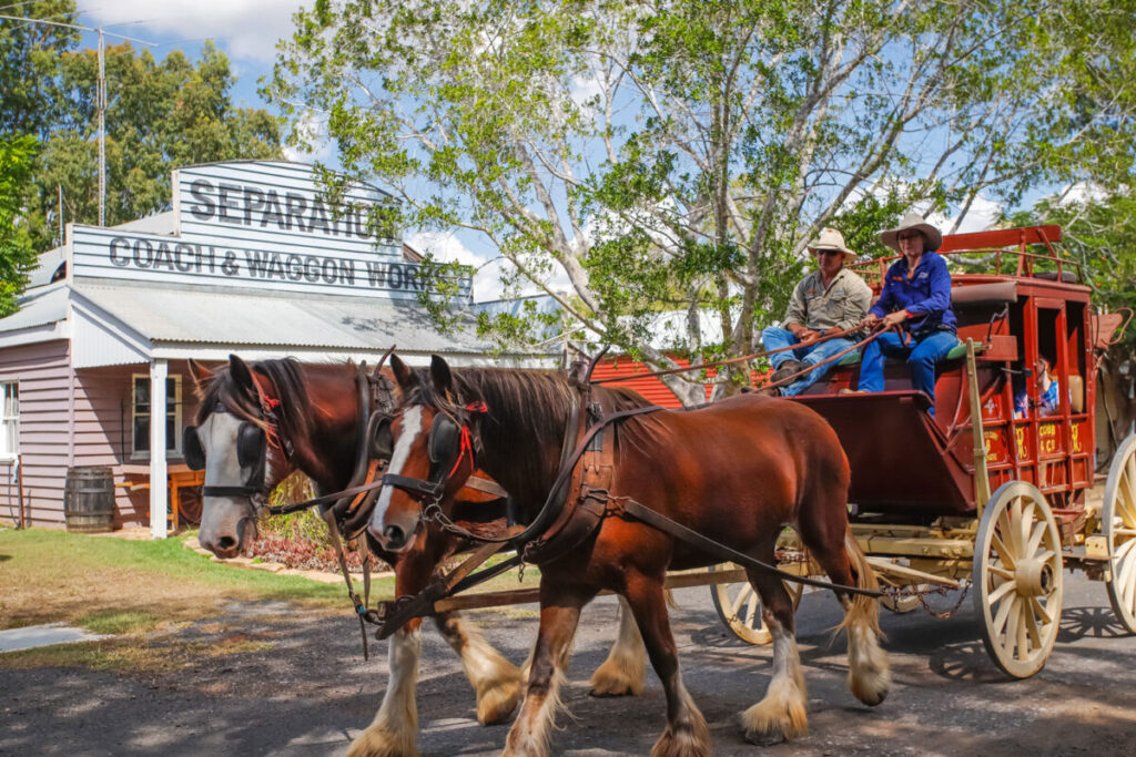 Horse and carriage rides at the Rockhampton Heritage Village.