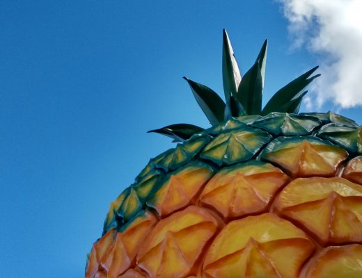 Big Things Bucket List: The Big Pineapple