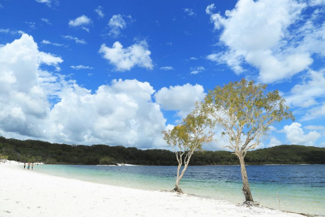 Fraser Island: Lake McKenzie