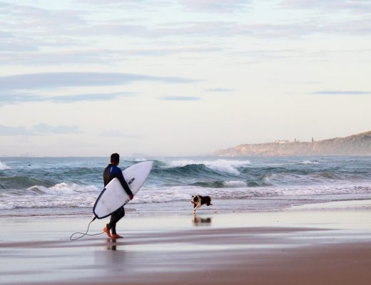 Dog Beaches on the Sunshine Coast