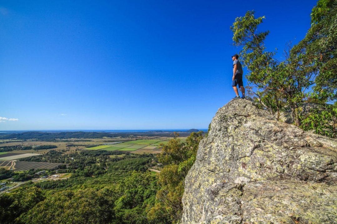 Hiking Mt Ninderry