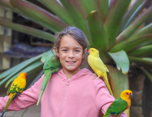Meeting the 'locals' at Maleny Botanic Gardens and Bird World.