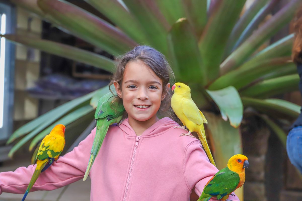 VIDEO Maleny Botanic Gardens & Bird World Our Coast Life